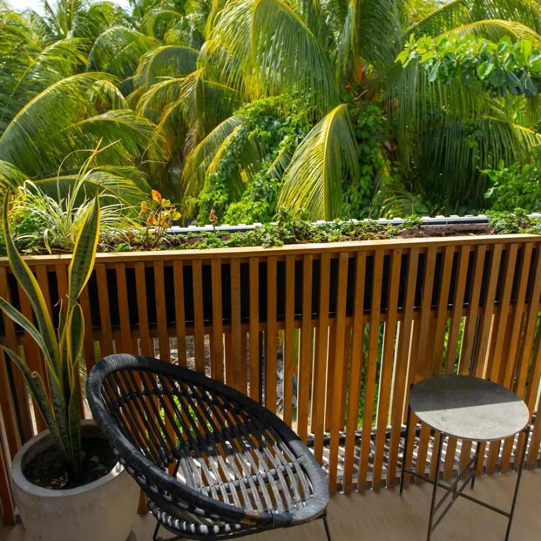 Casa Peregrino Holbox Hotel  Isla Holbox